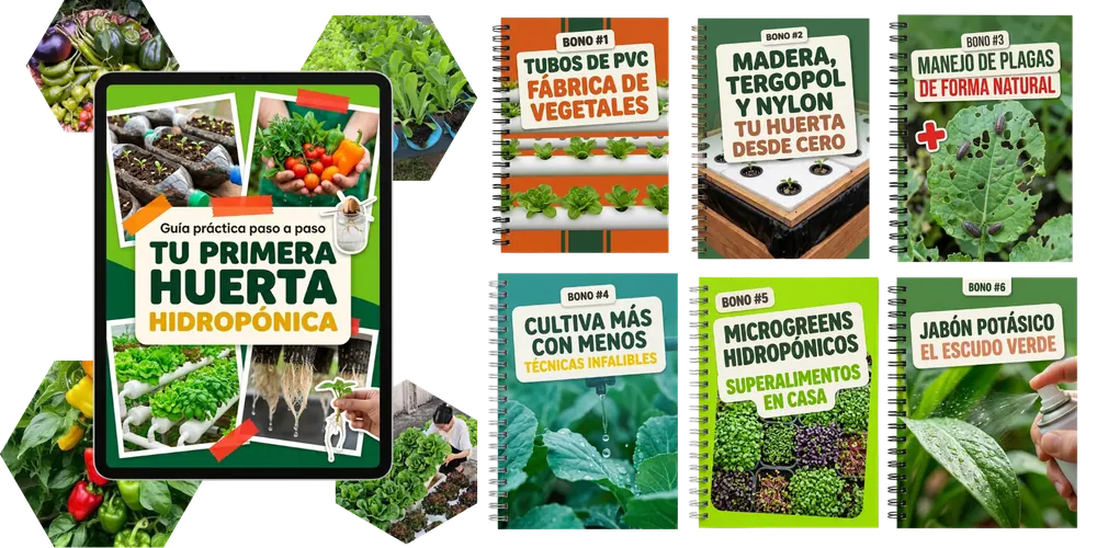 Manual HydroGreens con seis bonos incluidos